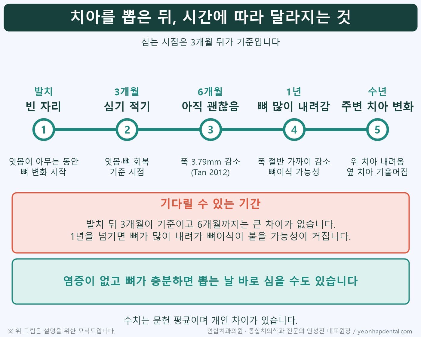 발치 후 3개월·6개월·1년 시점별 뼈 변화와 임플란트 식립 시기 타임라인