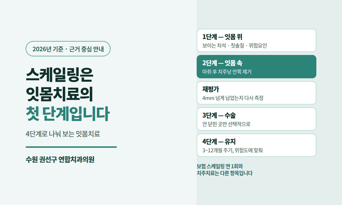 수원 잇몸치료 — 스케일링과 무엇이 다른가요 (2026년 기준)