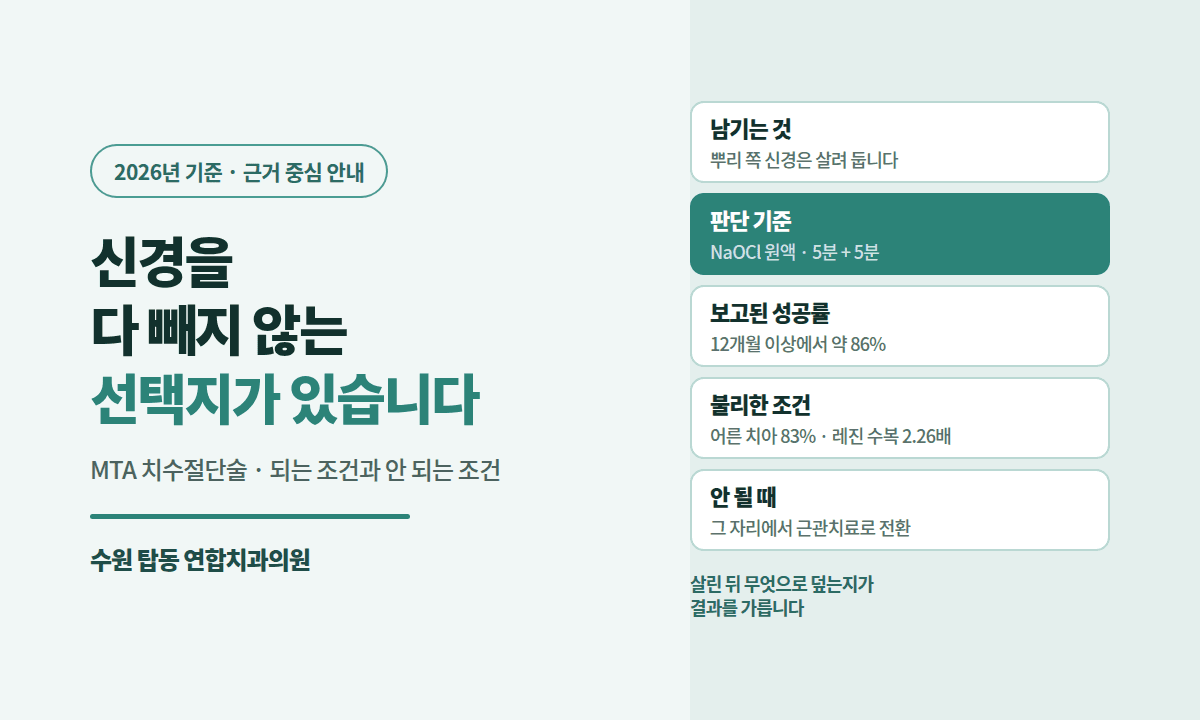 수원 MTA 치수절단술 — 신경치료 안 해도 되나요 (2026년 기준) 대표 이미지